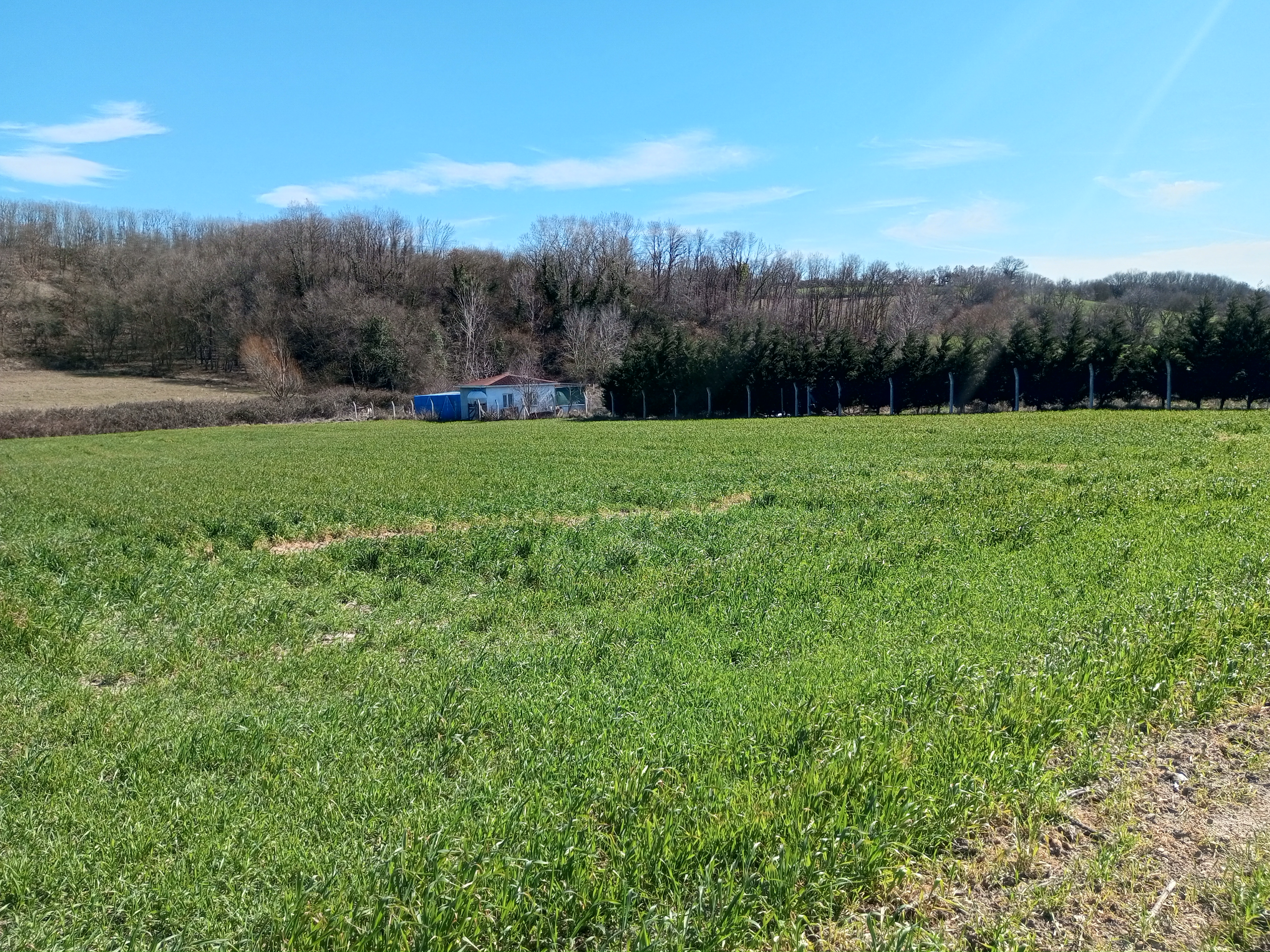 SİLİVRİ BÜYÜKCAVUSLU 2900 M2 SATİLİK TARLA